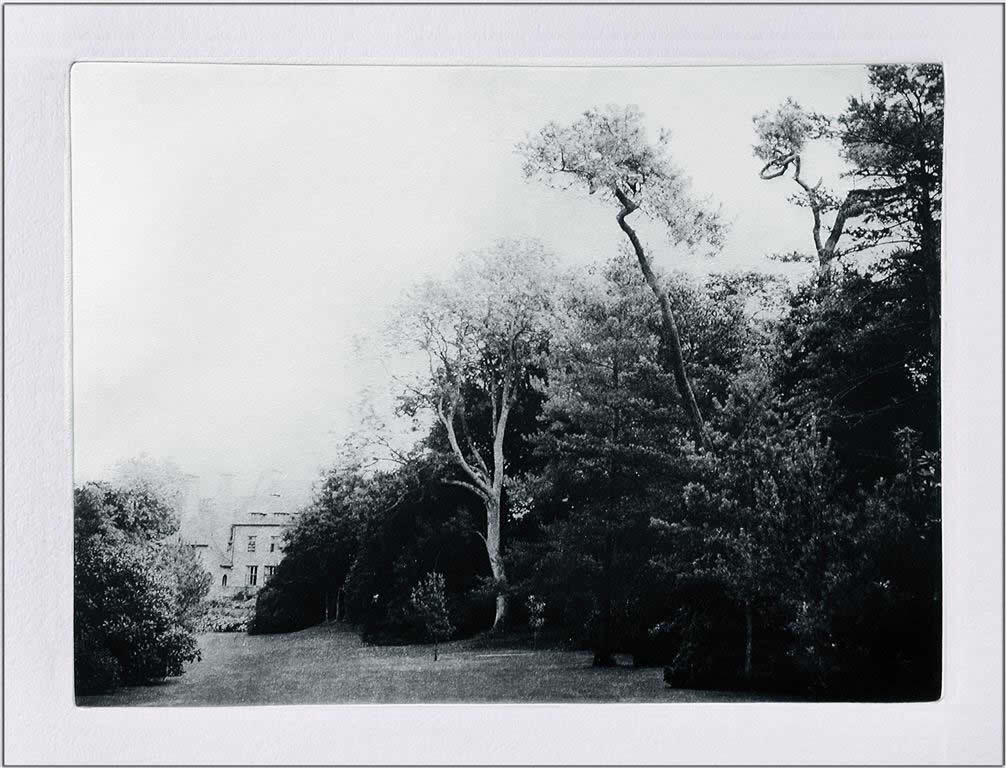 Bois de Moutiers, Gertrude Jekyll garden